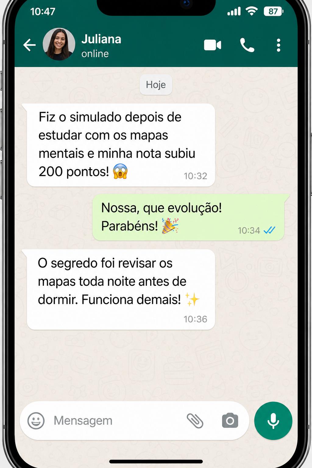 Print de conversa do WhatsApp 4